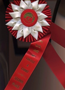 Elvis-prize-ribbon037-web